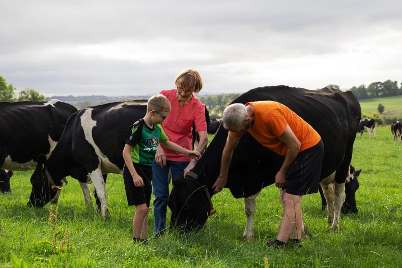 The relaxed rhythm of family farming in North Cork The relaxed rhythm of family farming in North Cork