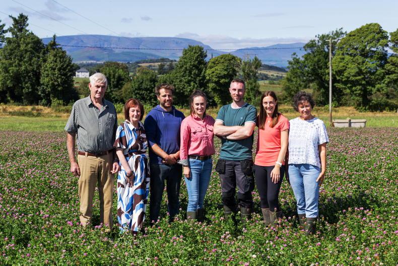 Why more cows are not the next step for this 200-cow Waterford dairy farm Why more cows are not the next step for this 200-cow Waterford dairy farm