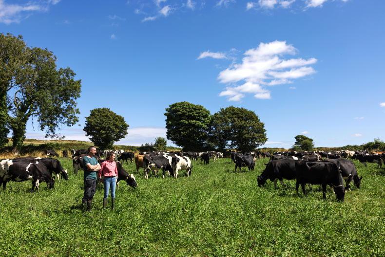 Why more cows are not the next step for this 200-cow Waterford dairy farm Why more cows are not the next step for this 200-cow Waterford dairy farm