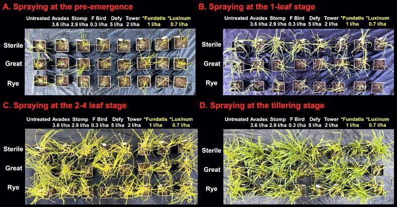 Maximise control of problem grass weeds Maximise control of problem grass weeds
