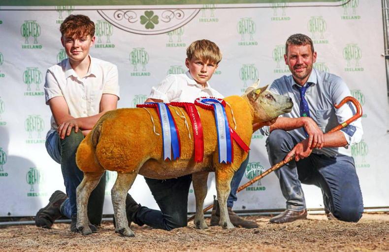 Championship clean sweep for Balnakill Flock at Beltex Premier Show and Sale Championship clean sweep for Balnakill Flock at Beltex Premier Show and Sale