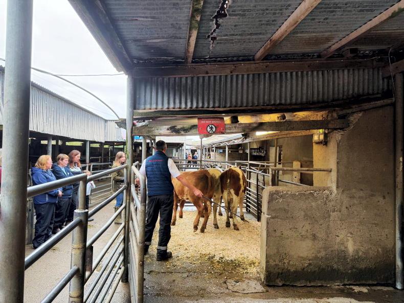 Women farmers get hands-on training at safety event in Leitrim Women farmers get hands-on training at safety event in Leitrim