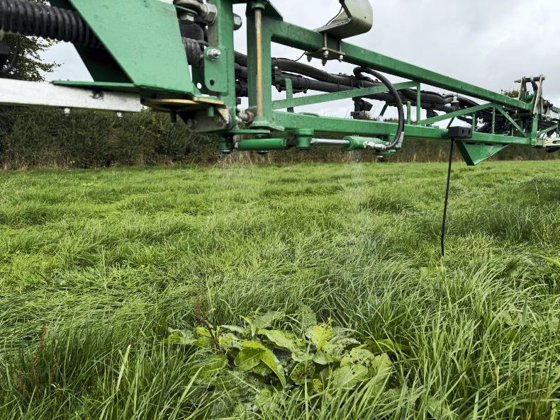 Young dairy farmer finds new income stream with AI spot spraying Young dairy farmer finds new income stream with AI spot spraying
