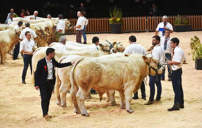Sommet de l’Élevage 2026: shaping the future of sustainable livestock farming Sommet de l’Élevage 2026: shaping the future of sustainable livestock farming