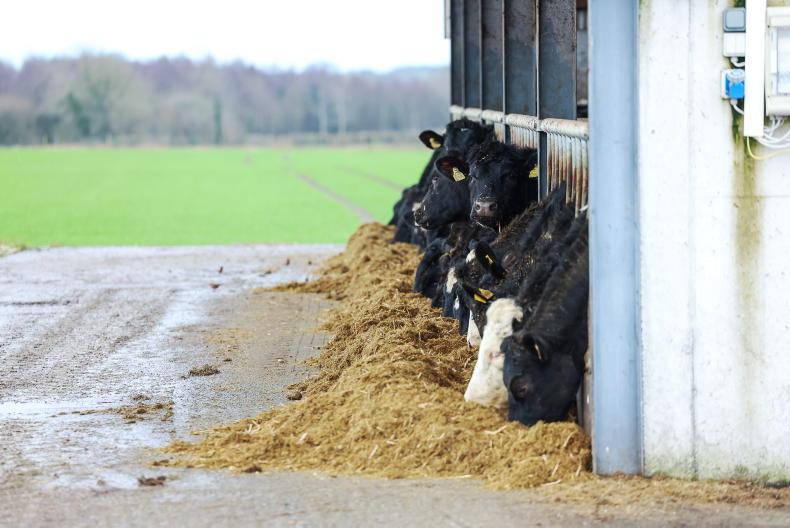 With farming 'financially creaking', €11/t in fertiliser scheme is an 'insult' With farming 'financially creaking', €11/t in fertiliser scheme is an 'insult'