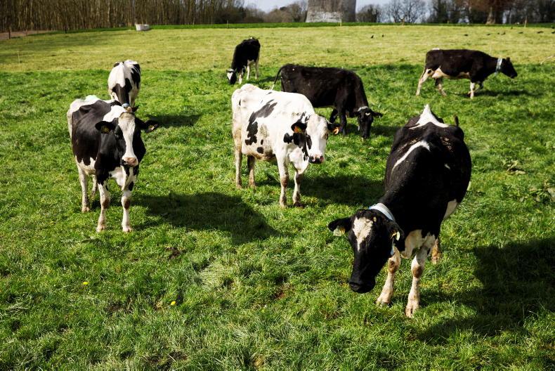 Inside Dairy Podcast: making the most of normal grass growth Inside Dairy Podcast: making the most of normal grass growth