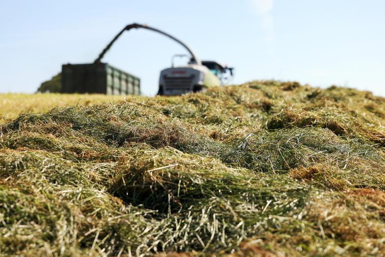 Warning over young farmer drug use Warning over young farmer drug use