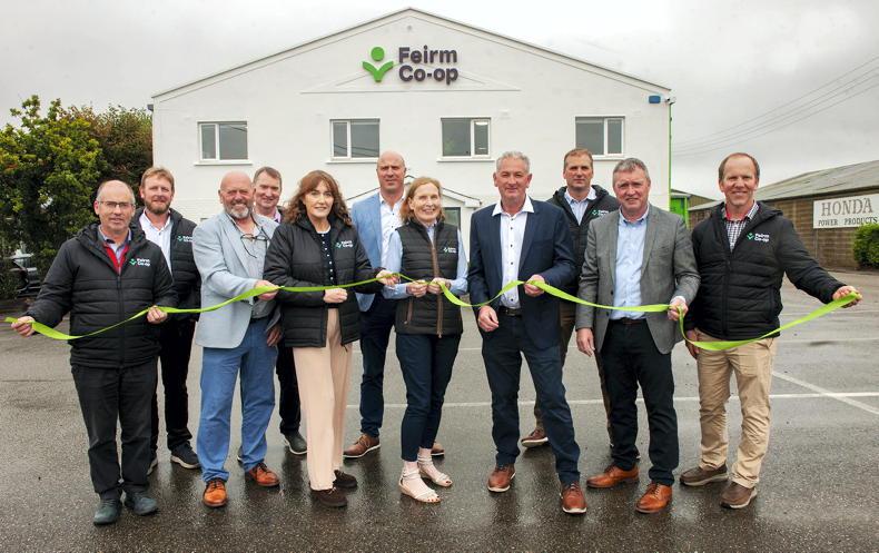 Well-established Wexford business a Feirm favourite Well-established Wexford business a Feirm favourite