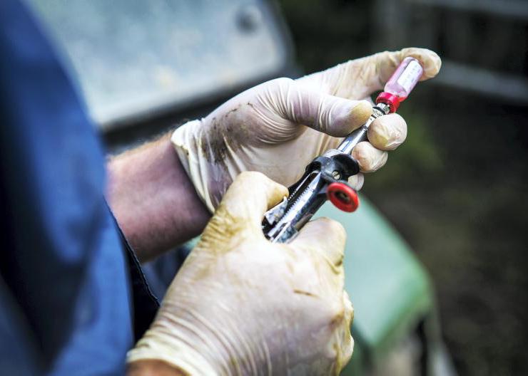 DAERA awards £2m TB contract for vet advice DAERA awards £2m TB contract for vet advice