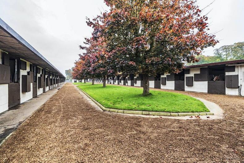 Racehorse trainer Emmet Mullins buys Jim Bolger's 150ac Glebe House in Kilkenny Racehorse trainer Emmet Mullins buys Jim Bolger's 150ac Glebe House in Kilkenny