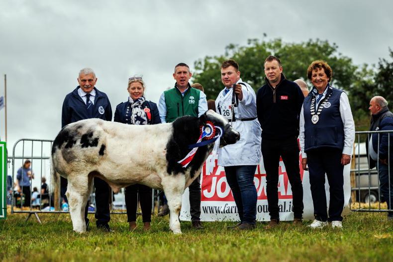 Editorial: best of the best on show in Trim Editorial: best of the best on show in Trim