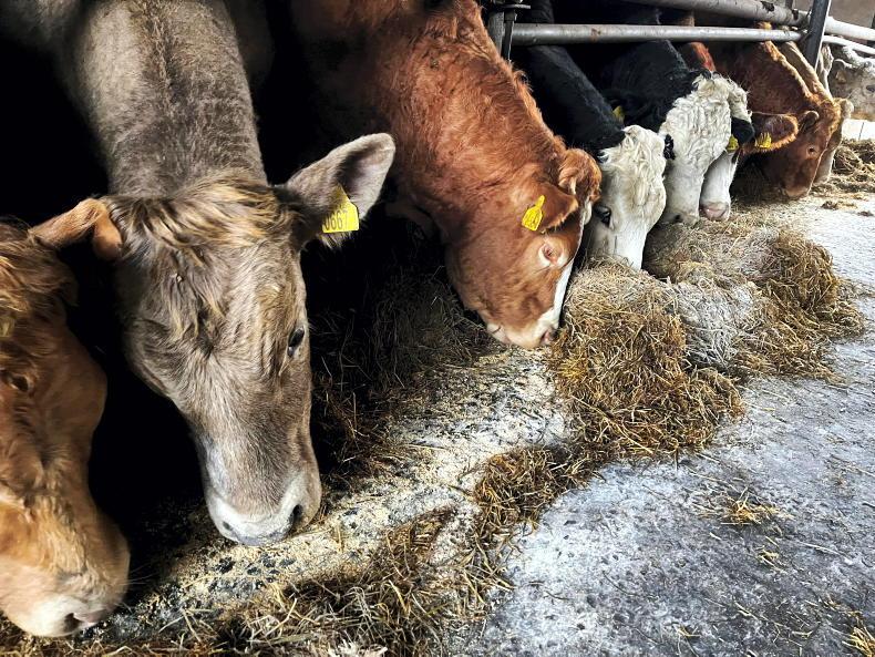 Feed mills warn of ration price rises Feed mills warn of ration price rises