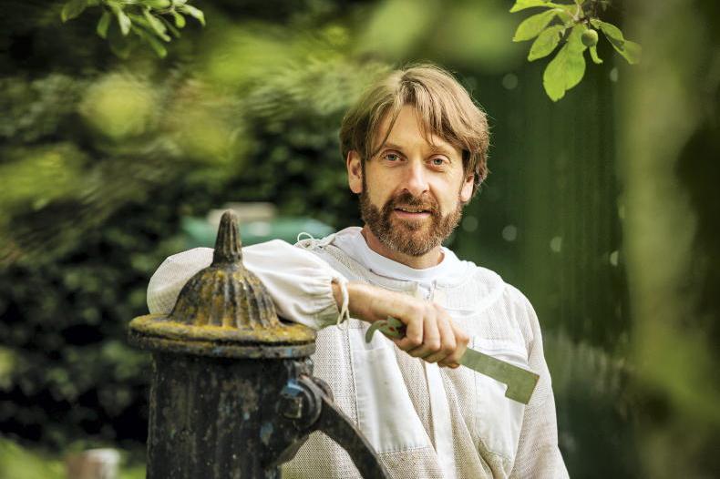 The honey trap: a sweeter deal for Irish producers The honey trap: a sweeter deal for Irish producers
