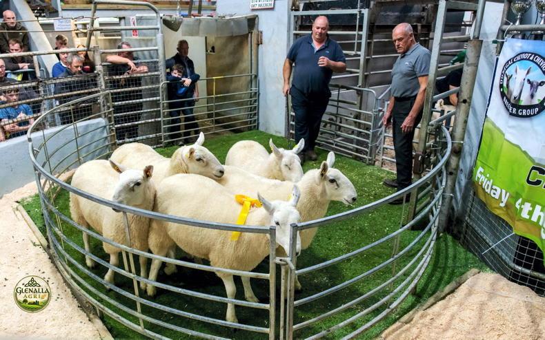 Positive tone, but lamb quotes stuck in gear Positive tone, but lamb quotes stuck in gear