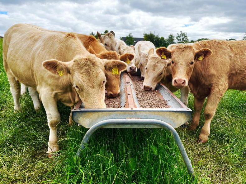 Beef management: grass supplies, fertiliser and the Beef Welfare Scheme Beef management: grass supplies, fertiliser and the Beef Welfare Scheme