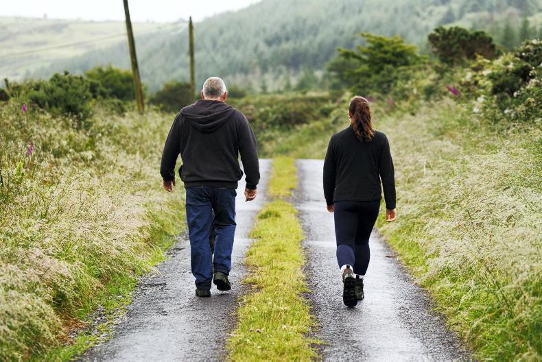 Over 900 new opportunities could open on Irish dairy farms Over 900 new opportunities could open on Irish dairy farms