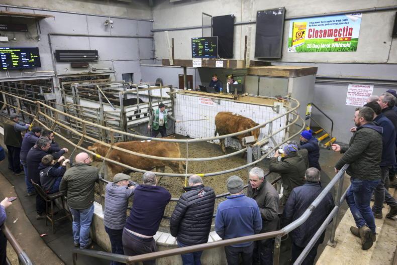 Ploughing attendees catch Ennis Mart sale live on IFJ stand Ploughing attendees catch Ennis Mart sale live on IFJ stand