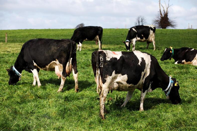What is the grass situation on dairy farms? What is the grass situation on dairy farms?