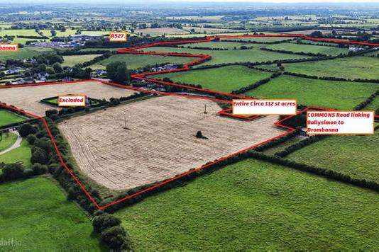 Frenzied Golden Vale auction sees bidders bidding against themselves Frenzied Golden Vale auction sees bidders bidding against themselves