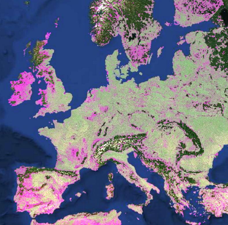 Research reveals 1.6 billion crop fields worldwide Research reveals 1.6 billion crop fields worldwide