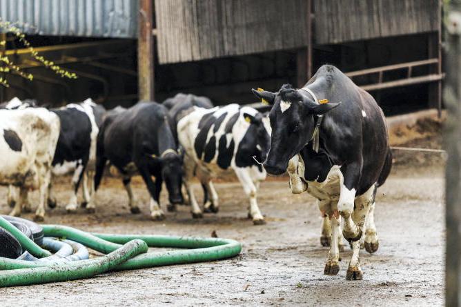 Agri jobs: several dairy farm vacancies available across Munster Agri jobs: several dairy farm vacancies available across Munster