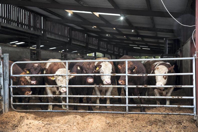 Tully open day highlights benefit of CBV and importance of accurate data records Tully open day highlights benefit of CBV and importance of accurate data records