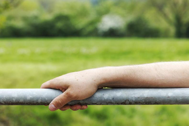 Proposal for farm bereavement support scheme for budget 2027 Proposal for farm bereavement support scheme for budget 2027
