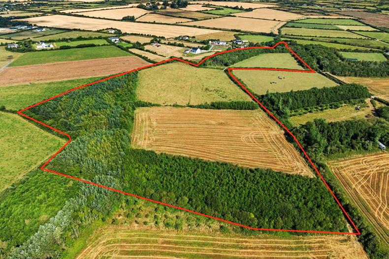 Organic farm auction to fund new church roof in Co Wexford Organic farm auction to fund new church roof in Co Wexford