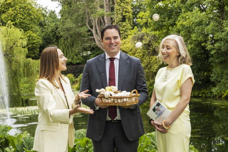 Last call for applications for programme supporting rural female entrepreneurs Last call for applications for programme supporting rural female entrepreneurs
