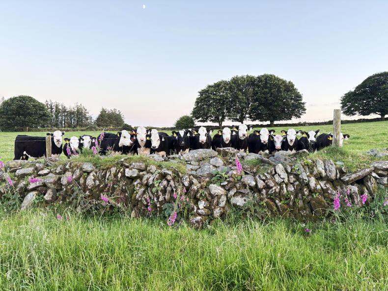 Role of female farmers put in the spotlight Role of female farmers put in the spotlight