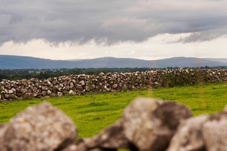Pessimism sweeps farm sector but dairy farmers show hope Pessimism sweeps farm sector but dairy farmers show hope