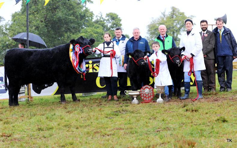 Two all-Irelands in a row for Kerins Kemi cows Two all-Irelands in a row for Kerins Kemi cows