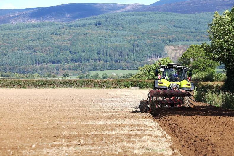 Tillage Management: rye, seed orders and beetles Tillage Management: rye, seed orders and beetles