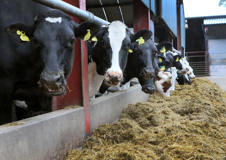 Planning ahead for the next lactation Planning ahead for the next lactation