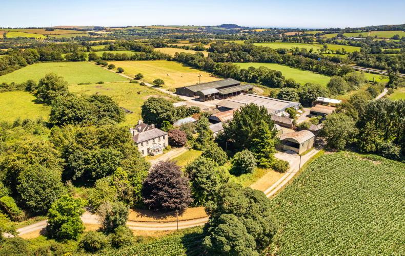 From soil to sold: top tips for selling your farm in Ireland From soil to sold: top tips for selling your farm in Ireland