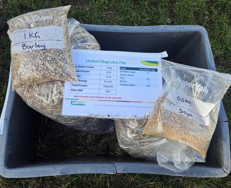 Irish grain and straw in focus for fodder stretching Irish grain and straw in focus for fodder stretching