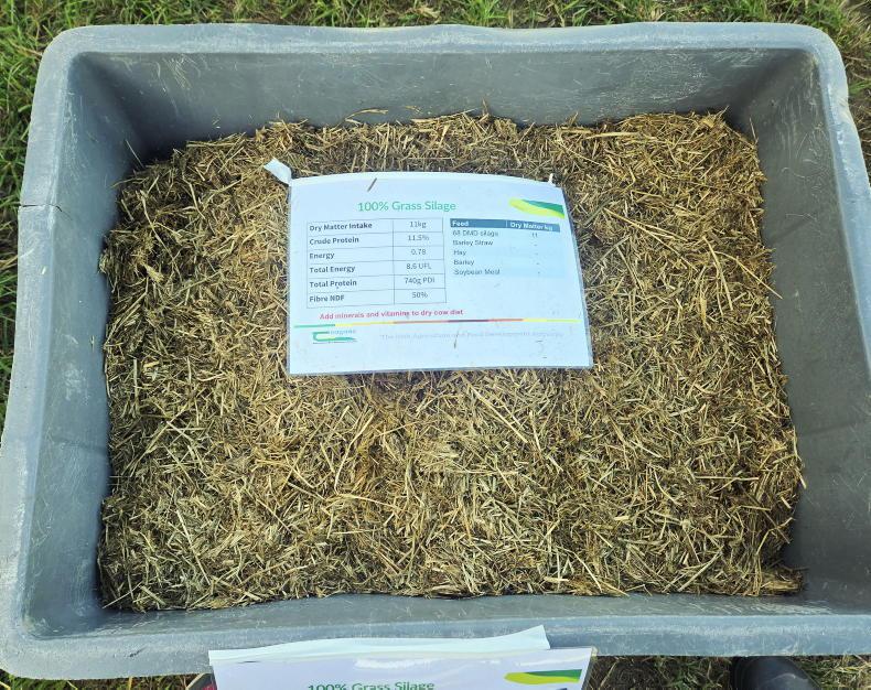 Irish grain and straw in focus for fodder stretching Irish grain and straw in focus for fodder stretching