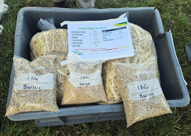 Irish grain and straw in focus for fodder stretching Irish grain and straw in focus for fodder stretching