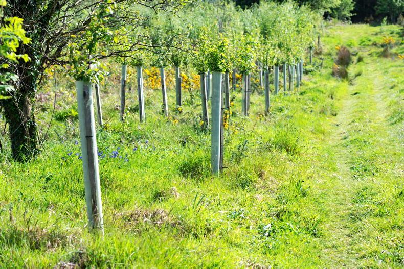 DAERA sets out its position on carbon data DAERA sets out its position on carbon data