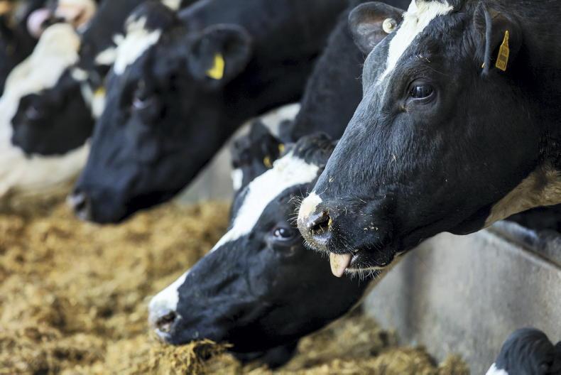 NI farmers win case against dairy co-op NI farmers win case against dairy co-op