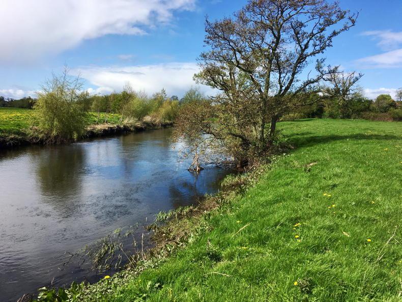 Rise in nitrogen levels in rivers in first half of 2026 – EPA Rise in nitrogen levels in rivers in first half of 2026 – EPA