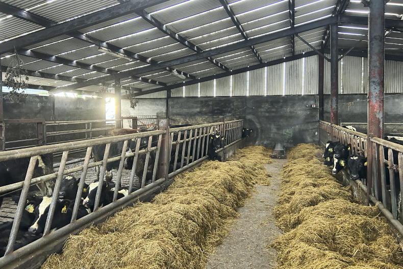 Wintering B&B options for dry stock and dairy farmers Wintering B&B options for dry stock and dairy farmers