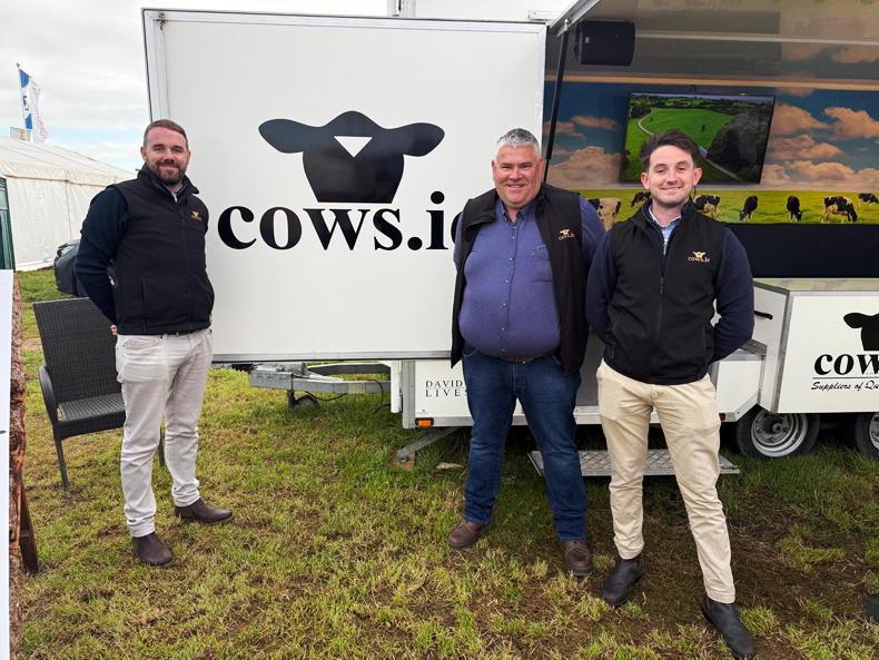 What are empty cows and in-calf heifers worth? What are empty cows and in-calf heifers worth?