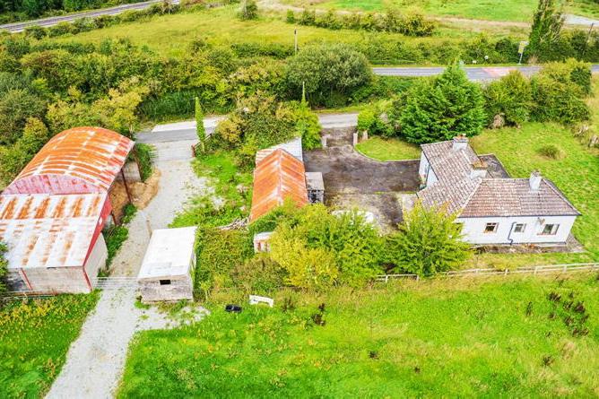 Hammer time nears for trio of Lilywhite farms Hammer time nears for trio of Lilywhite farms