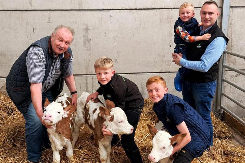 Katie Taylor's husband visits 400,000/1 newborn triplet calves in Meath Katie Taylor's husband visits 400,000/1 newborn triplet calves in Meath