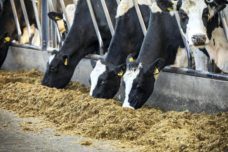 Selecting bulls for winter milk Selecting bulls for winter milk