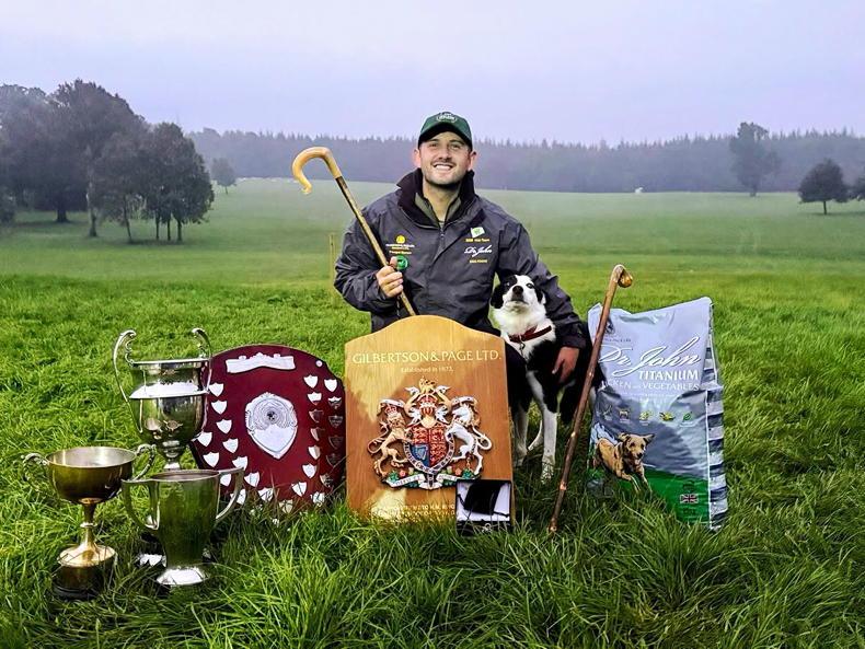 McAuley takes reserve world sheepdog champion title in Scotland McAuley takes reserve world sheepdog champion title in Scotland