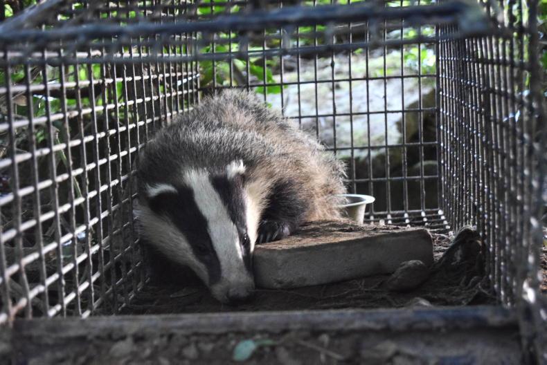 TB herds at 23-year low across England TB herds at 23-year low across England