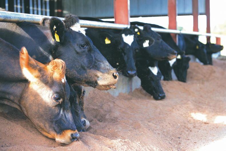 Money Mentor: how do I prepare for a fodder shortage in winter? Money Mentor: how do I prepare for a fodder shortage in winter?