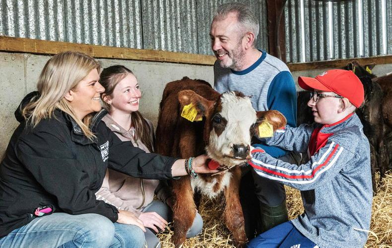 Why Fergal Hanrahan invests in quality milk replacer for his beef calves Why Fergal Hanrahan invests in quality milk replacer for his beef calves